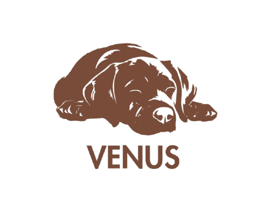 Venus Café
